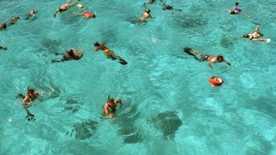 Cham Islands Snorkling By Speedboat from Hoi An and Da Nang
