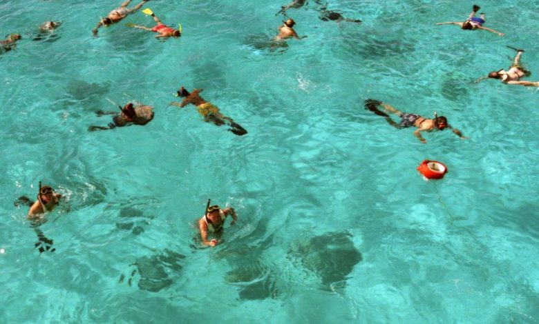 Cham Islands Snorkling By Speedboat from Hoi An and Da Nang