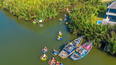 Hoi An Basket Boat Ride in Water Coconut Forest
